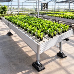 Tavolo a flusso e riflusso per semenzaio idroponico da serra, vassoio in PP anti-invecchiamento a lunga durata per piantine, per uso alimentare, all'ingrosso - Product Image 1