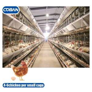 Jaula para Gallinas Ponedoras de Granjas Avícolas Grandes, Tipo H, 4 Niveles, con Sistema Automático de Alimentación y Bebederos - Product Image 1