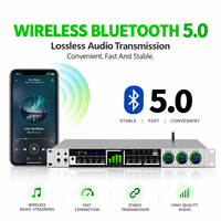 Processeur audio professionnel avec entrée optique Bluetooth, réverbération, écho, contrôle du micro pour karaoké et studio à domicile