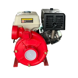Bomba <span class=keywords><strong>de</strong></span> <span class=keywords><strong>Agua</strong></span> Portátil <span class=keywords><strong>de</strong></span> Gasolina <span class=keywords><strong>de</strong></span> 3 Pulgadas <span class=keywords><strong>de</strong></span> Hierro <span class=keywords><strong>de</strong></span> Alta Presión para Uso Agrícola, Precio Económico y Buena Calidad - Product Image 1