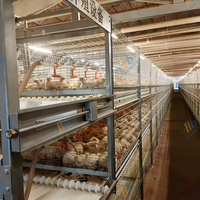 Cage à poulets de type H à 3 niveaux, système d'alimentation et de nettoyage automatique pour volailles, galvanisée à chaud, homologuée CE