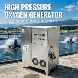 Gerador de oxigênio de alta pressão 20L / min Pressão de oxigênio do gerador de oxigênio industrial de ozônio 0.2-0.7MPa - Product Image 1