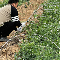 Arche de serre agricole robuste en PRV (polymère renforcé de fibres de verre) pour tunnel de culture de légumes