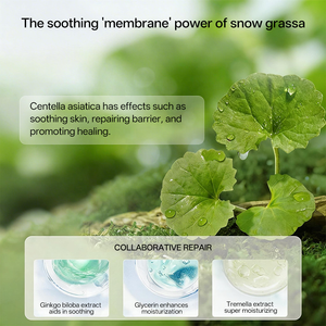 Mascarilla Facial Vegana Halal con Logotipo Privado, Orgánica, Antienvejecimiento, con Centella Asiática, Calmante, Hidratante, Reparadora, para Piel Sensible - Product Image 3
