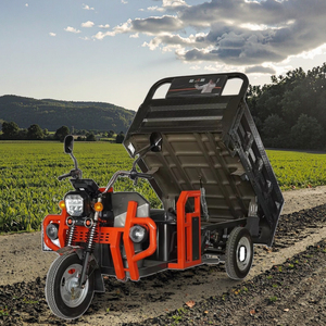 Tricicli elettrici con motore Cargo a 3 ruote a corpo aperto motocicli merci a tre ruote per lavoro agricolo - Product Image 1