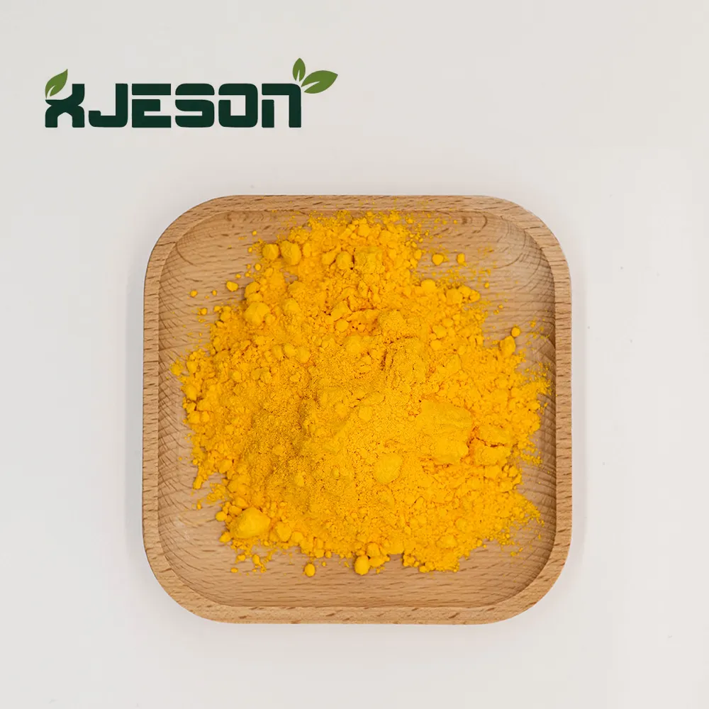 ผงสกัดจากรากขมิ้นอินทรีย์ 95% ผง Curcumin