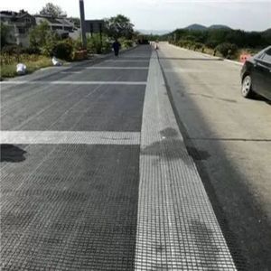 50-50kn Pet Đen Polyester hai trục tensar geogrid cho xây dựng đường bộ - Product Image 3