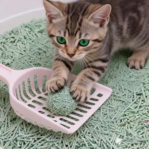 Litière pour chat en fibre de pois et de maïs, écologique, biodégradable, sans poussière, hautement absorbante, jetable, à agglomération rapide - Product Image 1