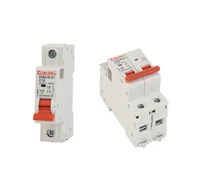 Interruttore magnetotermico IEC elettrico Mcb 6A 10A 16A 25A 32A 63A 1P 2P 3P 4P 240V Mini