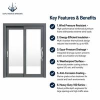 Puerta Corredera de Aluminio de Doble Acristalamiento, Eficiente Energéticamente, Grande, Personalizada, Multicarril, para Patio, Comercial, Tienda, Sala de Estar, Insonorizada