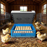 Incubateur à œufs électrique double entièrement automatique à petite échelle pour 48 œufs, poulet, canard, oie, oiseau, animal, volaille