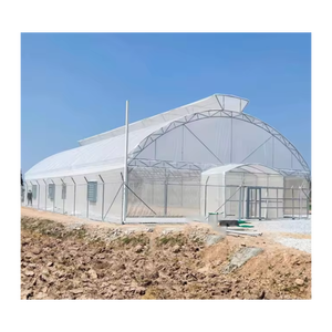 Serre Agricole Green House Metal Frame Horticulture Tropical Greenhouse Price