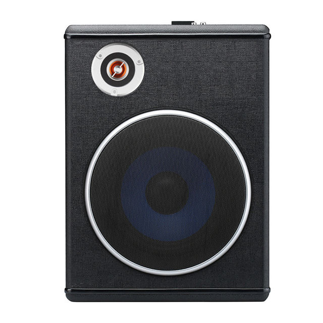 8 Inch Square Cabinet Ultra-thin Car Car Subwoofer 12V 24V 220V High Power Pair Tube Car Subwoofer