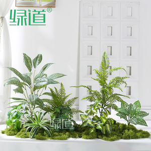 Greenway Artificial Green Plants Moss Landscaping Indoor <b>Miniature</b> Combination Bionic Decoration 30cm-100cm <b>Base</b> Flower - Product Image 2