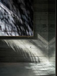 Paneles decorativos de pared de grano de madera personalizados para interiores y exteriores Diseño de hormigón de cara justa Profesionales manufacturados industriales - Product Image 3