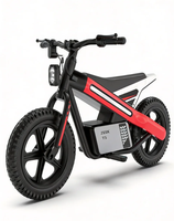 Motocicleta Eléctrica Infantil ZEEK T5Kids, Motor sin Escobillas de 24V 300W, Neumático Inflable de 14 Pulgadas, Encendido con Llave, Velocidad Ajustable, Música y Luces para Niños