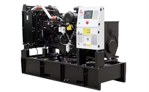 Groupe électrogène diesel Taishan 20 kW, type ouvert ou silencieux, 1/3 phase, refroidissement par eau, IP23, portable, mobile, haute puissance, 25 kVA, 50/60 Hz - Product Image 2