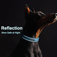 Collier de chien rembourré avec sangle en nylon double couche réfléchissant et robuste avec boucle de ceinture en métal