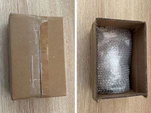 Vente en gros 3D Résine Perroquet <span class=keywords><strong>Oiseau</strong></span> Balançoire Jouet Figurine Jardin Extérieur Ornement Suspendu Décoration Animal Figurine Ornement - Product Image 6