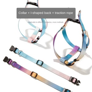 Set di collare per animali domestici in lega di lusso personalizzato e poliestere guinzaglio per cani a prova di esplosione con motivi di stampa di lusso - Product Image 2