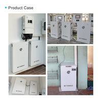 Baterai Penyimpanan Energi Rumah LiFePO4 Baterai Surya 5kWh Sistem Daya Cadangan Terpasang di Dinding untuk Pembeli Grosir