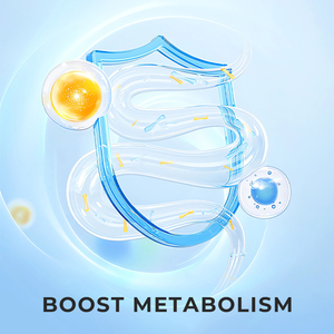 הסיטונאי גמילה סיטונאי תוספת עבור לשרוף שומן & קלוריות לדכא את התיאבון להגביר את חילוף החומרים תמיכה רזה בתוספת מבער שומן - Product Image 5