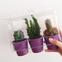 Conteneurs de transport pour fleurs, boîte de transport en blister, emballage en coquille pour plantes, fleurs, plantes vivantes, bébés plantes