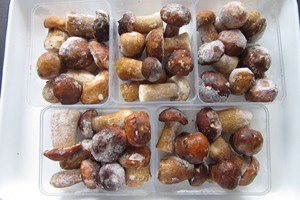 Sinocharm Seta Porcini Frozen Boletus <span class=keywords><strong>Edulis</strong></span> - Product Image 5