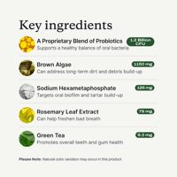Polvo Dental para Perros OEM/ODM, Limpieza Dental Fácil, Elimina el Sarro y el Mal Aliento, Refrescante Natural para el Aliento de los Perros