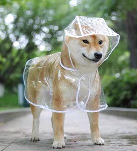Şeffaf Küçük Orta Boy Köpek Yağmurluğu, Köpek Gezdirme ve Yağmurlu Hava Koşulları İçin Su Geçirmez Plastik Panço - Product Image 2