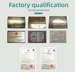 เครื่องทำเม็ดอาหารปลาขนาดเล็กแบบลอยน้ำ เครื่องอัดรีดขนาดเล็ก 50 กก./ชม. สำหรับใช้ในบ้านและฟาร์ม สำหรับปลาคาร์ฟและปลาทอง - Product Image 6
