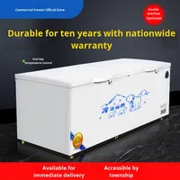 Réfrigérateur commercial à température unique Congélateur horizontal de grande capacité Fresh-Keeper avec processus de congélation à haute efficacité