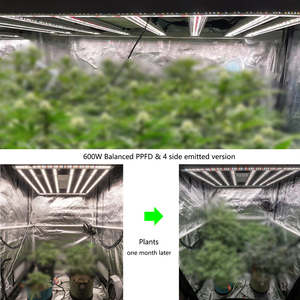 Thanh Có Thể Tháo Rời 650W 680W Lm301H Evo LED Phát Triển Ánh Sáng Với 3-Kênh Điều Khiển & Có Thể Điều Chỉnh Phổ Cũng Cân Bằng Ppfd Cho Trong Nhà - Product Image 6