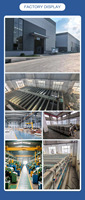Système d'électrogalvanisation automatique, machines d'électrolyse du cuivre, pompe, équipement de bain d'anodisation haute efficacité, 0,3-10 tonnes/jour