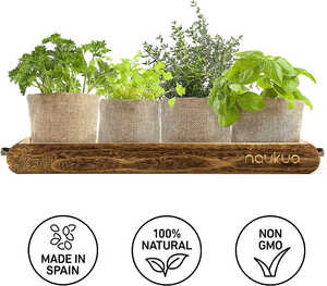 Kit de culture de <span class=keywords><strong>jardin</strong></span> urbain vintage pour herbes aromatiques Kit d'herbes d'intérieur pour adultes démarreur de plantes - Product Image 6