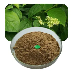 Natural lei gong teng 10:1 thunder god vine 98% Celastrol thunder god vine extract