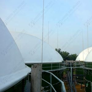 Biogaz digestore tetto montato su biogas impianto Rifiuti digestore per Fabbrica di Olio di Palma - Product Image 6