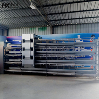 Système de cages automatiques pour élevage de volailles à vendre – Équipement pour poules pondeuses