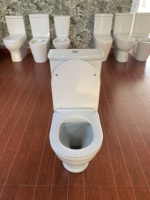Ensemble de toilettes à double chasse en céramique de luxe pour hôtel moderne européen