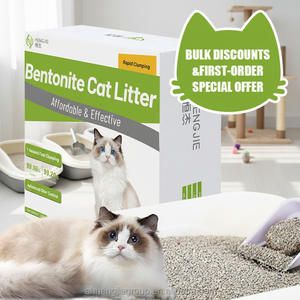 Areia para Gato Natural Sem Poeira com Design Gratuito, Melhor Agregação como Areia de Bentonita - Product Image 1