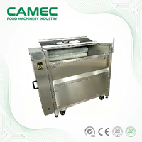 Laveuse Commerciale de Pommes de Terre 1000mm en Acier Inoxydable 304, Type Rouleau Brossé, pour Légumes (Gingembre, Taro)