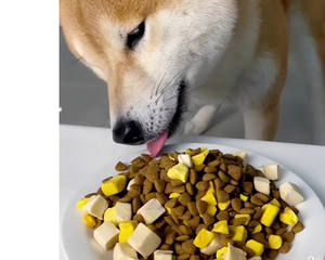 Organik dondurularak kurutulmuş evcil hayvan gıda aperatifler kolay mağaza saf maddeler ham et tavuk/ördek karaciğer/sığır OEM ODM kedi için güvenli gıda/köpek - Product Image 1