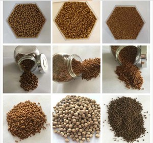 Zhuoheng 1 Ton/h Dog Food Production Machine with Pet Food <strong>Processing</strong> <strong>Function</strong> - Product Image 5