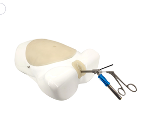 רפואי מדע היסטרוסקופיה סימולציה אימון מכשיר להוראה אדם דגם של גינקולוגיות hysteroscopic ניתוח - Product Image 6