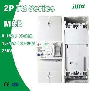 Disjoncteur à boîtier moulé JUNW 2P TG MCCB 5-60A, <span class=keywords><strong>courant</strong></span> réglable <span class=keywords><strong>contre</strong></span> les surcharges et les courts-circuits - Product Image 1