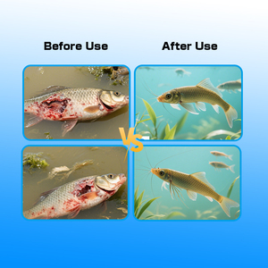 Limpiador de <span class=keywords><strong>Agua</strong></span> Biológico Cy Vibrio Clear para Acuicultura, Estable y de Fácil Almacenamiento - Product Image 5