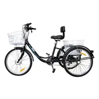 MiLG 도매 3 휠 세발 자전거 전기 500w 전기 세발 자전거 성인 800W 전기 Tricycles