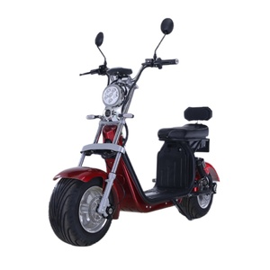 Scooter électrique à deux roues EEC COC, entrepôt européen, scooter électrique à pneus larges, citycoco, scooter électrique 2000w - Product Image 3