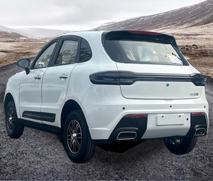 Veicolo Elettrico a 4 Ruote, 4 Porte e 4 Posti Completamente Chiuso, Personalizzabile, per Anziani - Veicolo a Nuova Energia di Grande Successo - Product Image 2