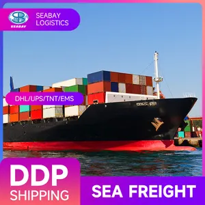 LCL DDP Logística barata Agente de carga Servicio de cargos de envío de carga de China Shenzhen a EE. UU.